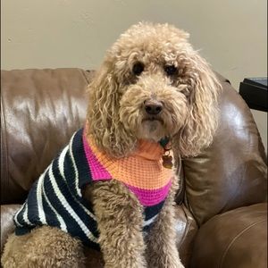 Meet your Posher, Tracy